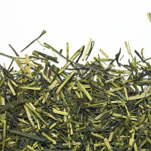 thé vert kukicha camellia sinensis