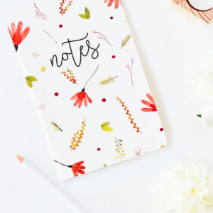 soies carnet de notes Lou