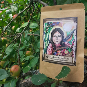 les fées sorcières tisane la chamane du nord