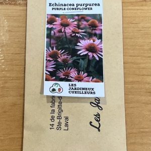 jardineux cueilleurs semences echinacée