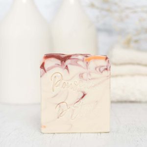savon savonnerie poussière d'étoiles lait d'anesse