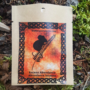 Les fées sorcières encens abondance