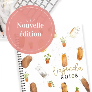 agenda québécois