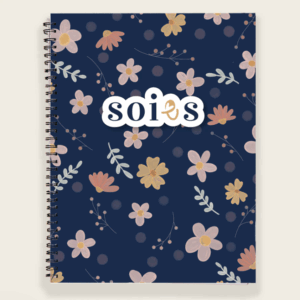 soies journal douceur nouveau Émilie