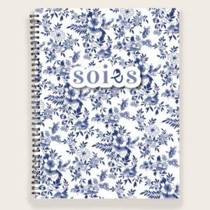 soies journal douceur nouveau Jules