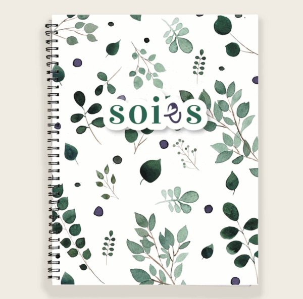 soies journal douceur nouveau Anna-Sofia