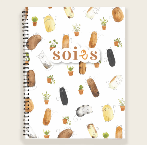 soies journal douceur nouveau Sarah
